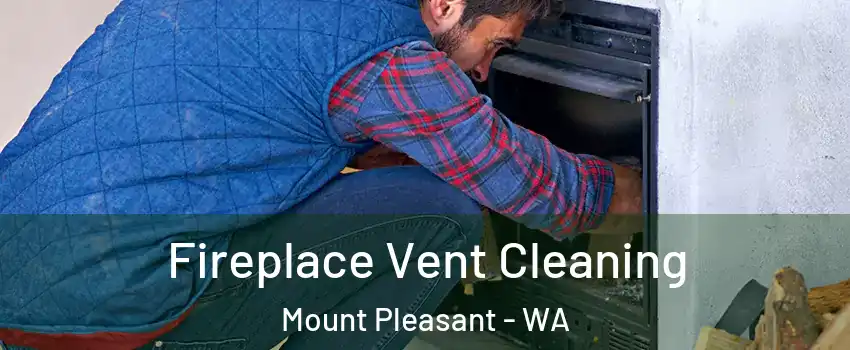 Fireplace Vent Cleaning Mount Pleasant - WA