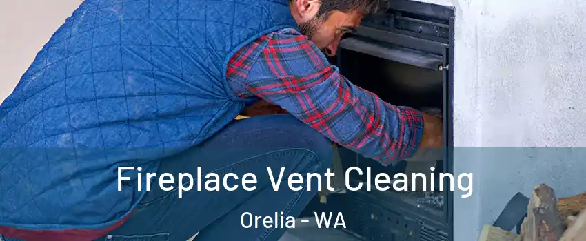 Fireplace Vent Cleaning Orelia - WA