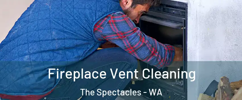 Fireplace Vent Cleaning The Spectacles - WA
