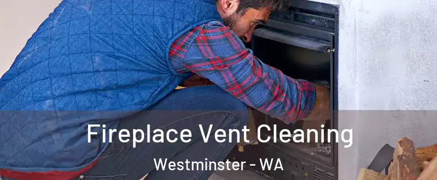 Fireplace Vent Cleaning Westminster - WA