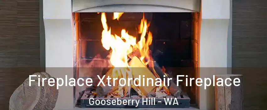 Fireplace Xtrordinair Fireplace Gooseberry Hill - WA