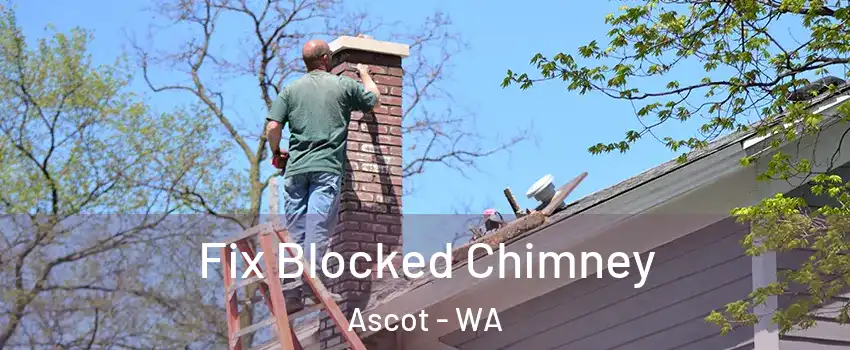 Fix Blocked Chimney Ascot - WA