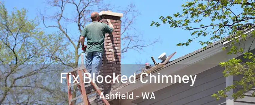 Fix Blocked Chimney Ashfield - WA