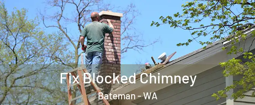 Fix Blocked Chimney Bateman - WA