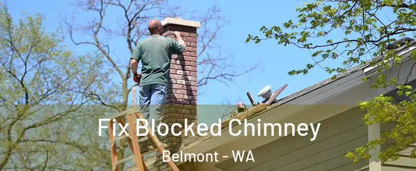Fix Blocked Chimney Belmont - WA