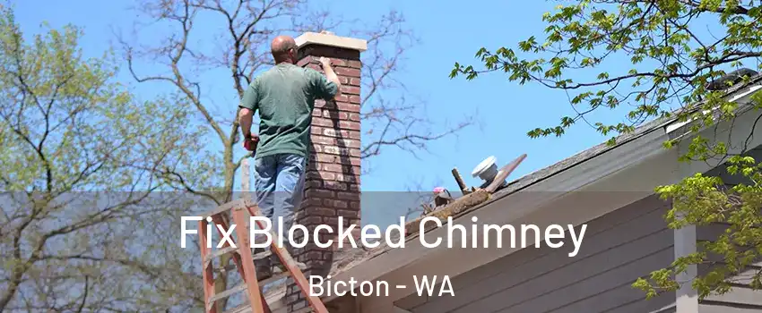 Fix Blocked Chimney Bicton - WA