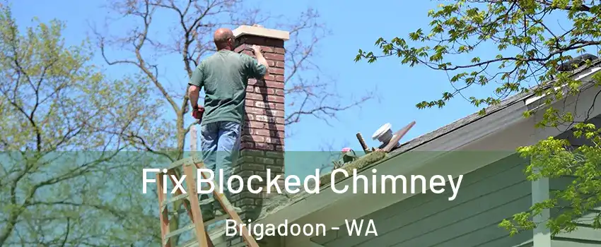 Fix Blocked Chimney Brigadoon - WA