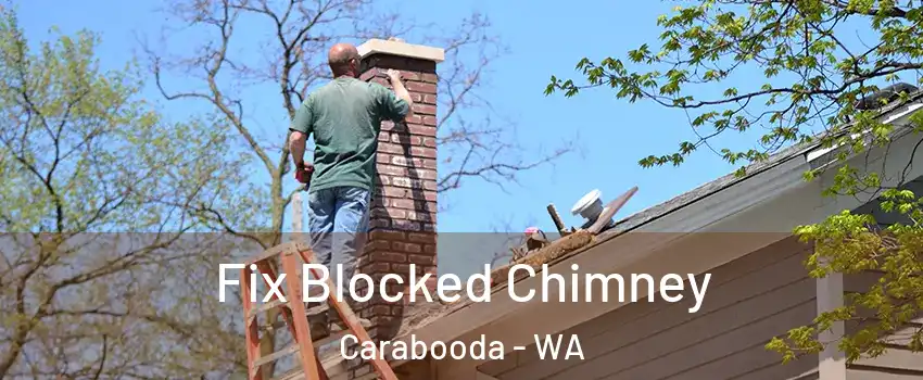 Fix Blocked Chimney Carabooda - WA