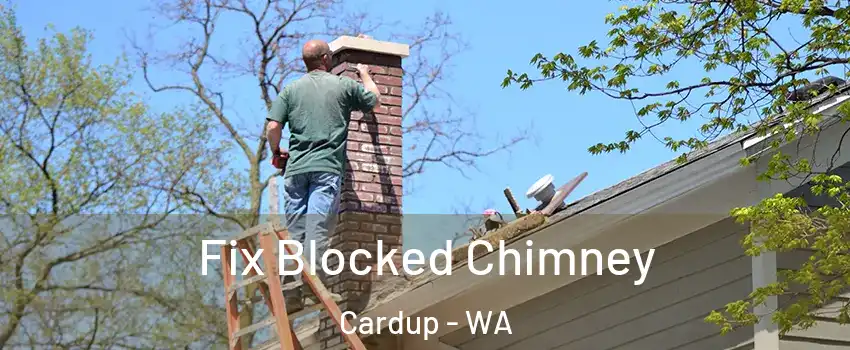 Fix Blocked Chimney Cardup - WA