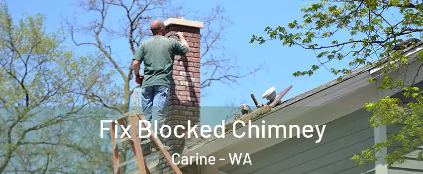 Fix Blocked Chimney Carine - WA