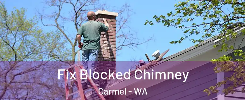 Fix Blocked Chimney Carmel - WA