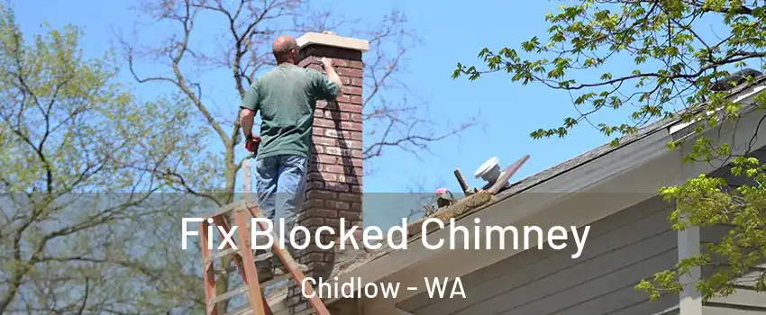 Fix Blocked Chimney Chidlow - WA