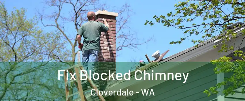 Fix Blocked Chimney Cloverdale - WA