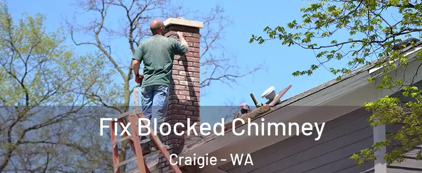 Fix Blocked Chimney Craigie - WA