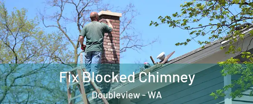 Fix Blocked Chimney Doubleview - WA