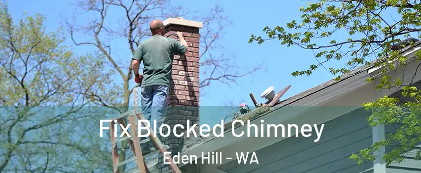 Fix Blocked Chimney Eden Hill - WA