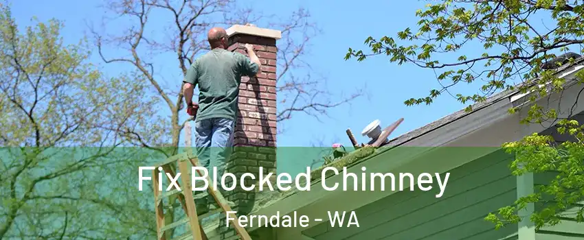 Fix Blocked Chimney Ferndale - WA