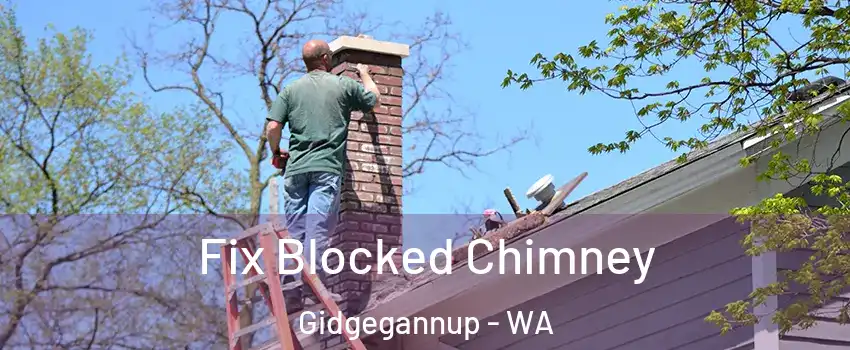 Fix Blocked Chimney Gidgegannup - WA