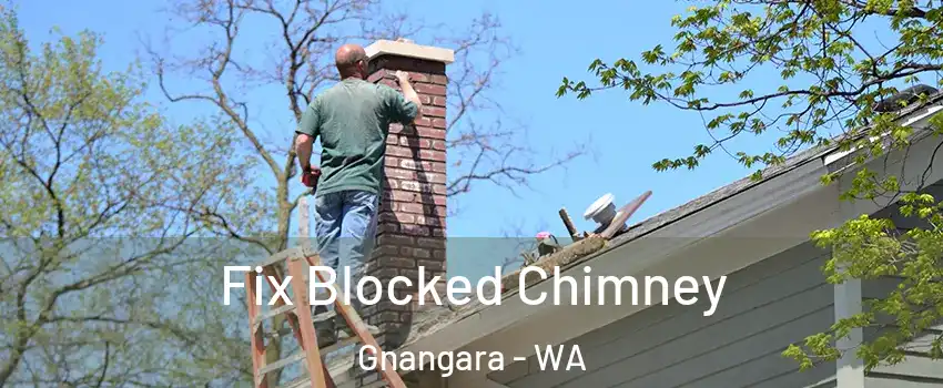 Fix Blocked Chimney Gnangara - WA