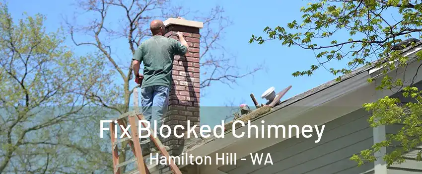 Fix Blocked Chimney Hamilton Hill - WA