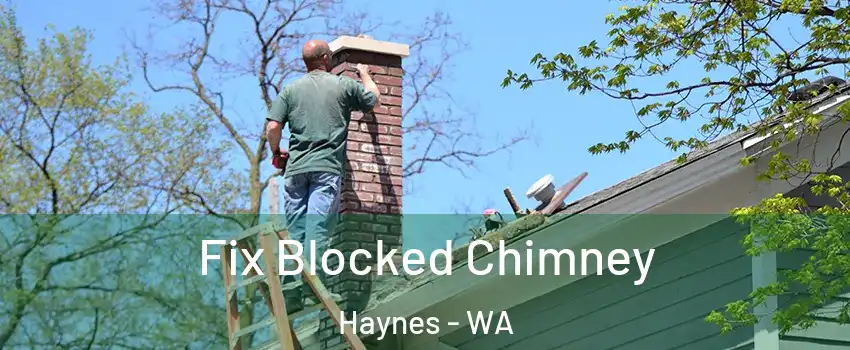 Fix Blocked Chimney Haynes - WA