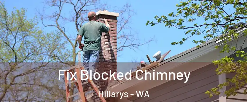 Fix Blocked Chimney Hillarys - WA