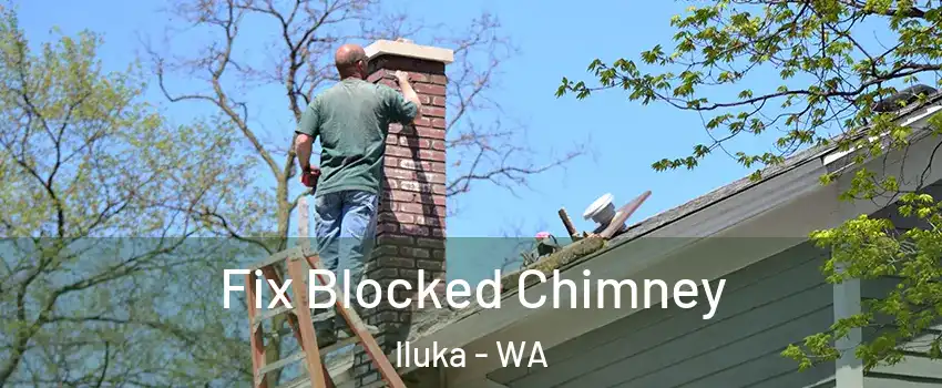 Fix Blocked Chimney Iluka - WA