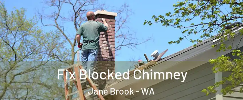Fix Blocked Chimney Jane Brook - WA