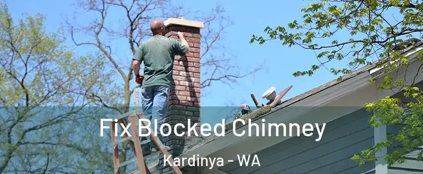 Fix Blocked Chimney Kardinya - WA