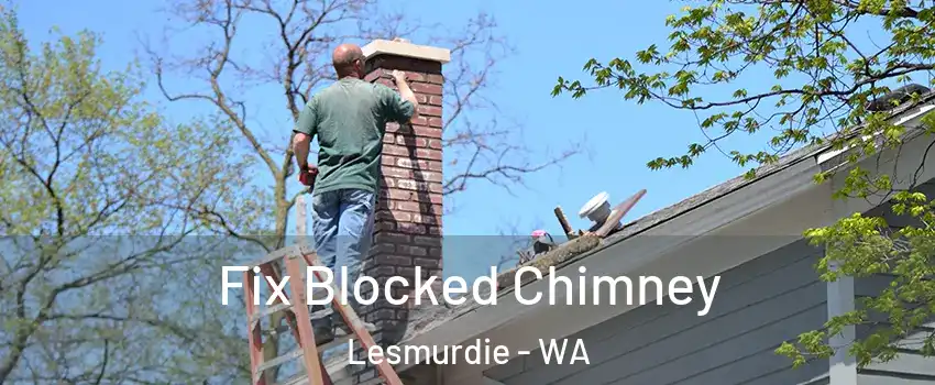 Fix Blocked Chimney Lesmurdie - WA
