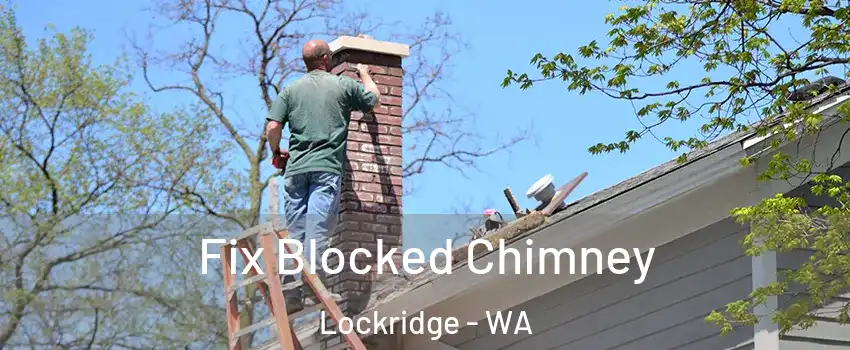 Fix Blocked Chimney Lockridge - WA