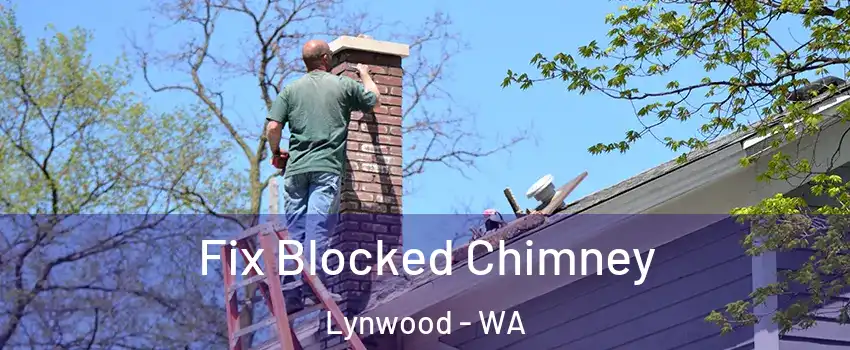 Fix Blocked Chimney Lynwood - WA