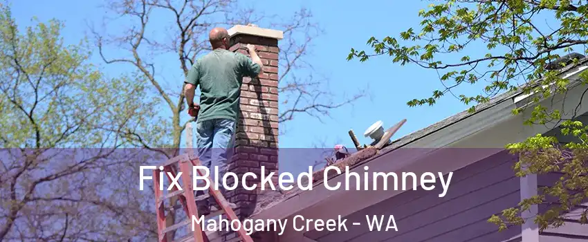 Fix Blocked Chimney Mahogany Creek - WA