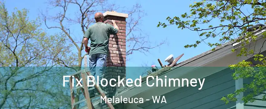 Fix Blocked Chimney Melaleuca - WA