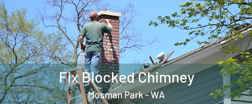 Fix Blocked Chimney Mosman Park - WA