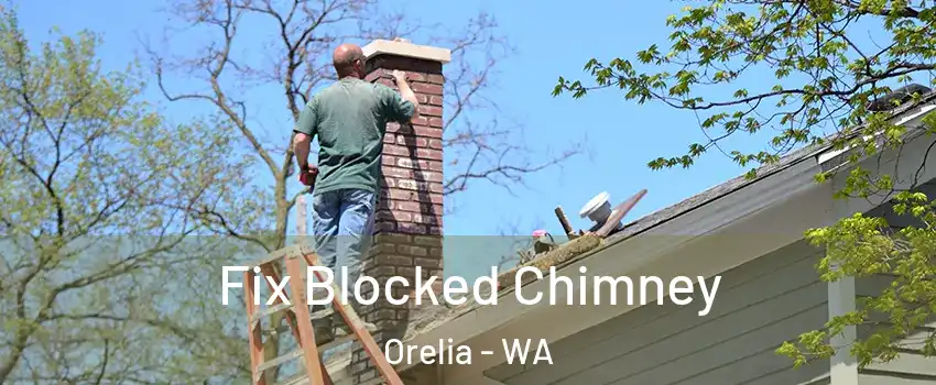 Fix Blocked Chimney Orelia - WA