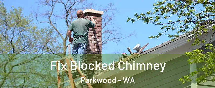 Fix Blocked Chimney Parkwood - WA