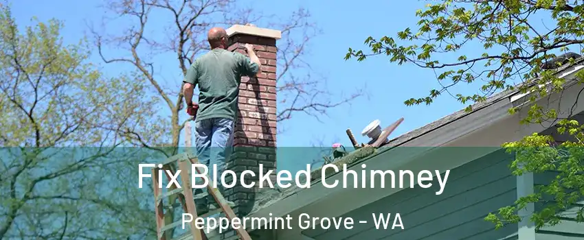 Fix Blocked Chimney Peppermint Grove - WA