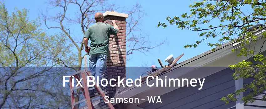 Fix Blocked Chimney Samson - WA