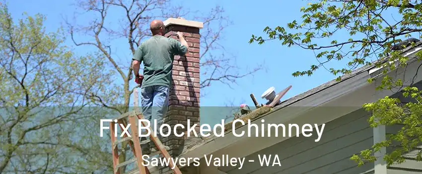 Fix Blocked Chimney Sawyers Valley - WA