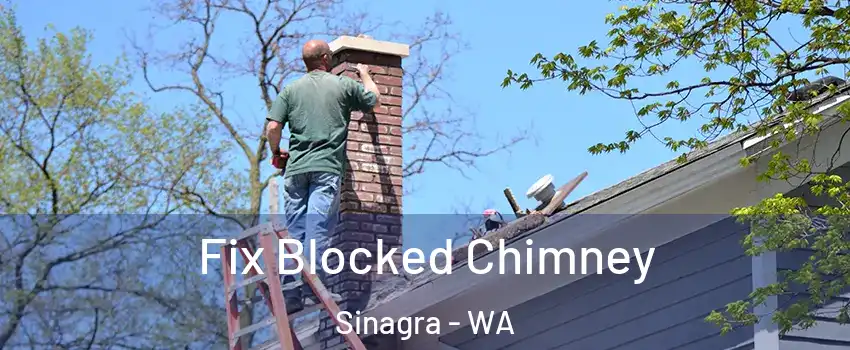 Fix Blocked Chimney Sinagra - WA