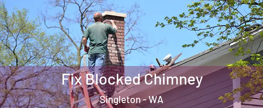 Fix Blocked Chimney Singleton - WA