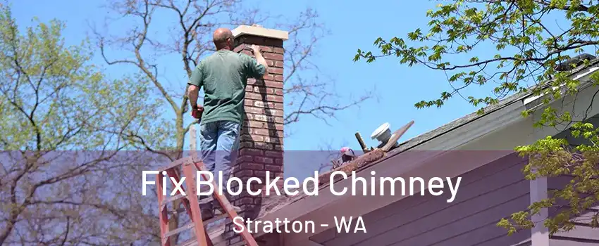 Fix Blocked Chimney Stratton - WA