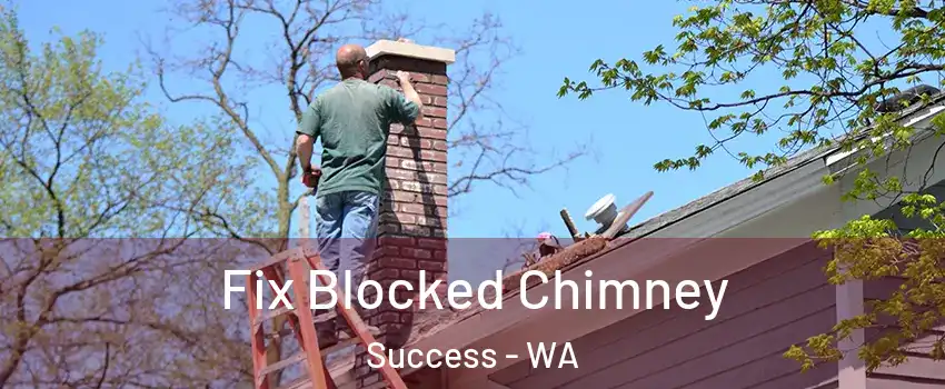 Fix Blocked Chimney Success - WA
