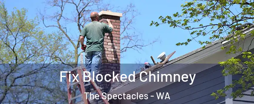 Fix Blocked Chimney The Spectacles - WA