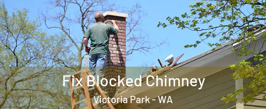 Fix Blocked Chimney Victoria Park - WA