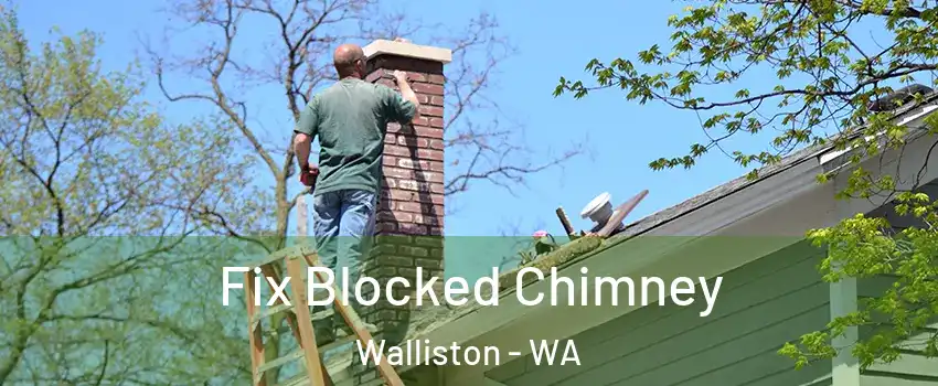 Fix Blocked Chimney Walliston - WA