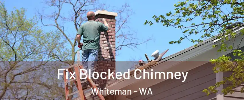 Fix Blocked Chimney Whiteman - WA