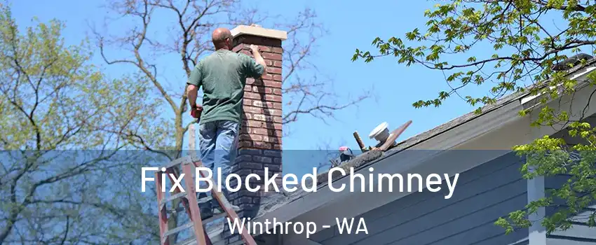 Fix Blocked Chimney Winthrop - WA