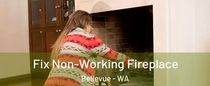 Fix Non-Working Fireplace Bellevue - WA